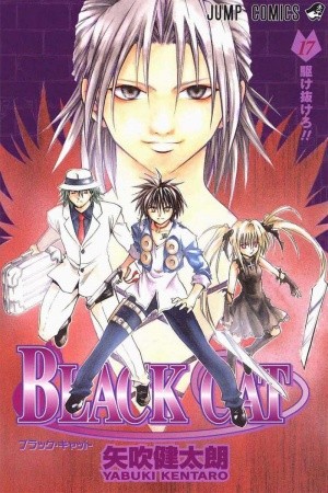 Black Cat Manga