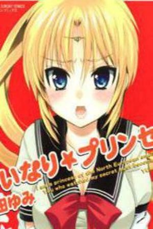 Iinari Princess Manga