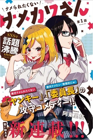 Namekawa Manga