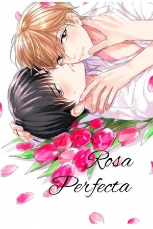 Pink perfect Manga