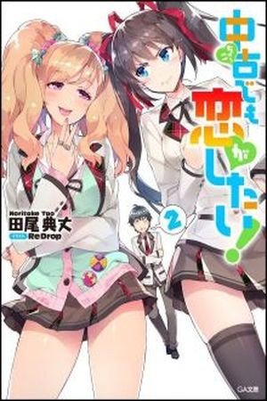 Real no Heroine wa Irimasen! (Novela) Manga