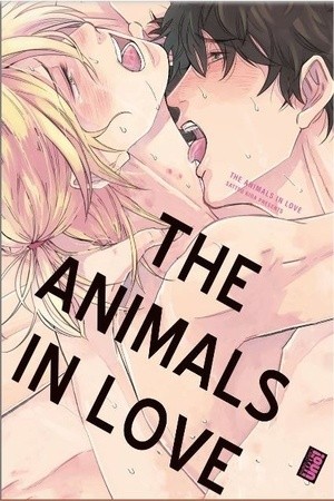 The Animals in Love